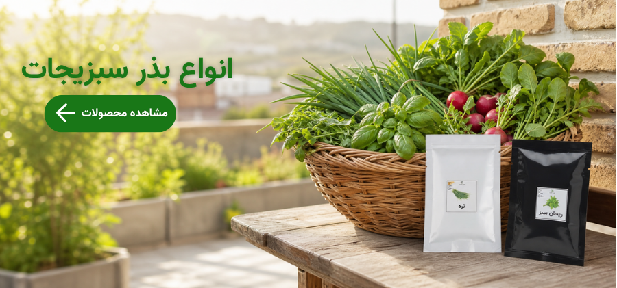 انواع بذر سبزیجات