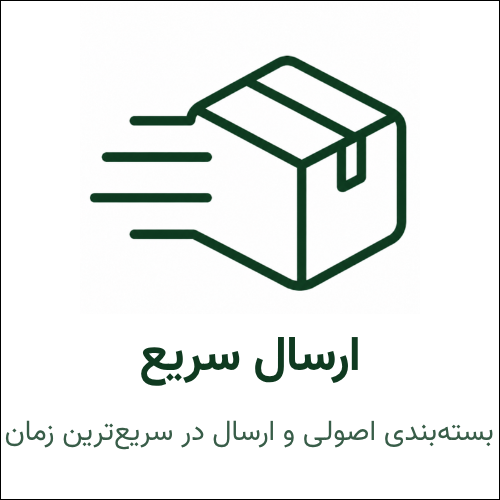 ارسال سریع