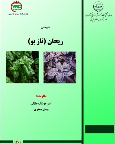 کتابچه راهنمای شناخت و کاشت سبزی ریحان