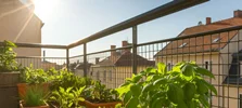 بهترین بذرهای سبزی و صیفی برای بهار و تابستان | راهنمای کامل کاشت و برداشت پربار