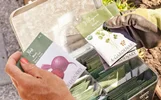 چگونه بذر مرغوب را تشخیص دهیم؟ 7 روش ساده برای انتخاب بذر باکیفیت