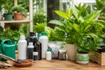 راهنمای کامل کوددهی گیاهان آپارتمانی و باغچه‌ای؛ از انتخاب کود تا زمان مصرف