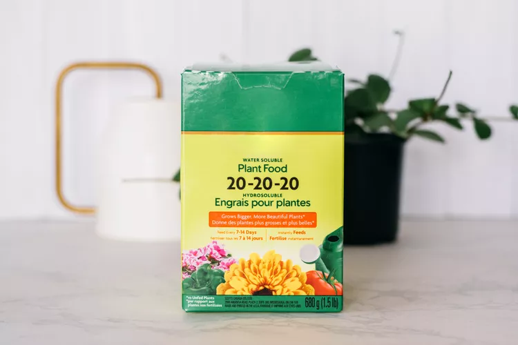 کوددهی سبزی‌ها؛ چه زمانی و چقدر کود بدهیم؟ راهنمای کامل زمان و مقدار کوددهی