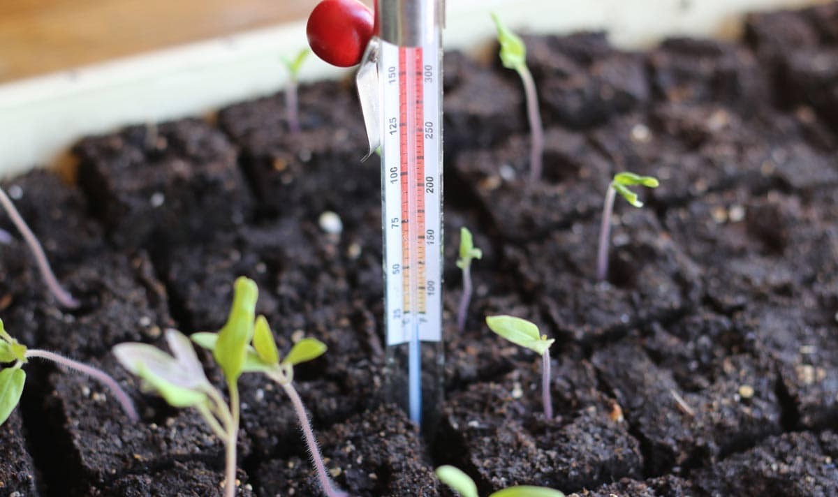 جدول دمای خاک برای جوانه‌زنی بذر