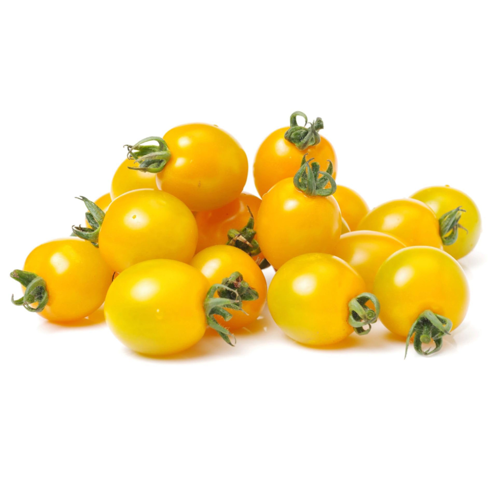 بذر گوجه چری زرد گلدانی